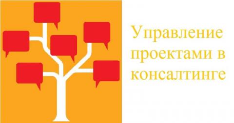 Project management for consultants Project management for consultants