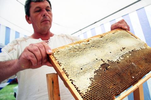 The Honey Market – from Tradition to World Export