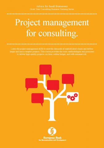 Project management for consulting