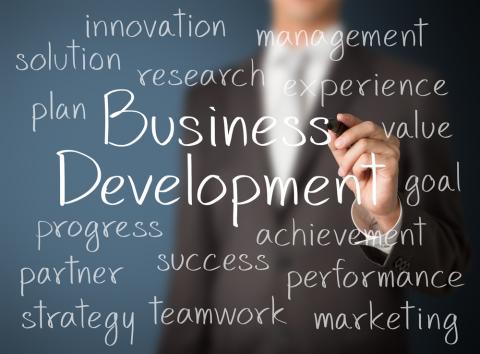 Managing business development