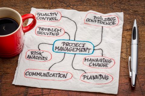 Project management for consultants