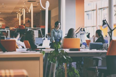 EBRD Women in business programme: From entrepreneur to entreprise - corporate governance in SMEs