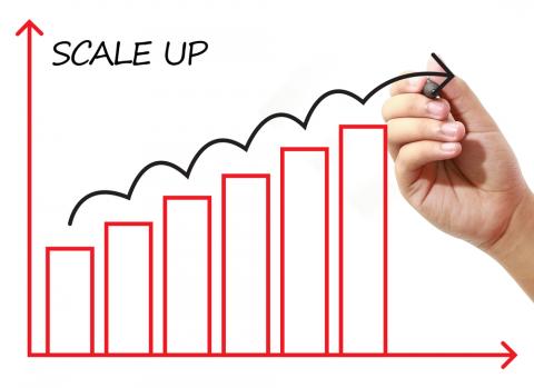 How to scale your business successfully