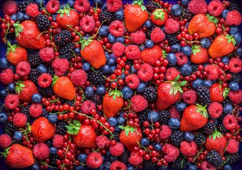 Branding, packaging, and labelling for EU-oriented Ukrainian berry producers