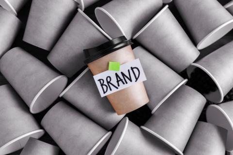 Branding: How to Develop and Manage Brand