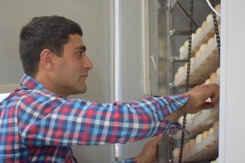Poultry farmer Taron Yeritsyan