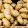 Potatoes in basket © Thinkstock