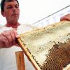 The Honey Market – from Tradition to World Export