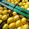 Lemons in cases © Thinkstock