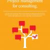 Project management for consulting