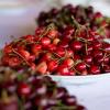 Ukrainian berry producers eye sweet opportunities in foreign markets