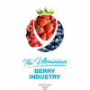 The Ukrainian Berry Industry – catalogue 2018