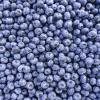 Developing the export potential of the Ukrainian berries sector