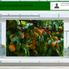 Fresh food producers from Africa and Eastern Europe take part in innovative virtual trade fair
